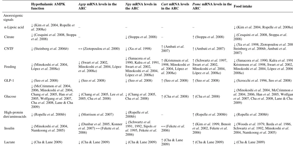 Table 1. Regulation of hypothalamic AMP-activated protein kinase (AMPK), function of arcuate nucleus (ARC)-derived neuropeptides and feeding 