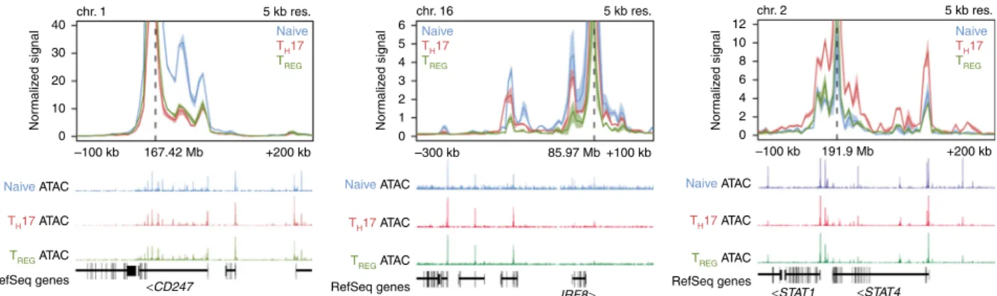 Fig. 2 H3K27ac HiChIP signals at systemic sclerosis loci in human CD4 + T cells. The SNPs with maximum Posterior Probabilities in each locus were set as anchor points to assess promoter-enhancer chromatin interactions