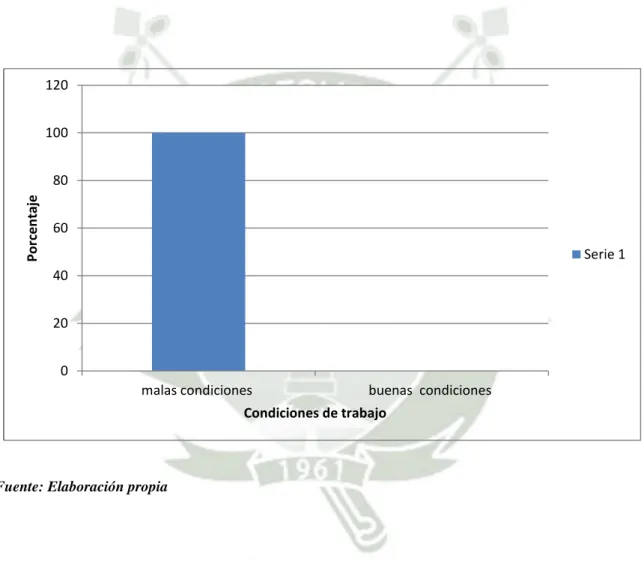 GRÁFICO Nº. 5 