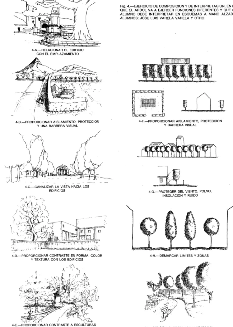 Fig. 4.-EJERCICIO DE COMPOSICION y DE INTERPRETACION, EN EL QUE EL ARBOL VA A EJERCER FUNCIONES DIFERENTES Y QUE EL ALUMNO DEBE INTERPRETAR EN ESQUEMAS A MANO ALZADA.
