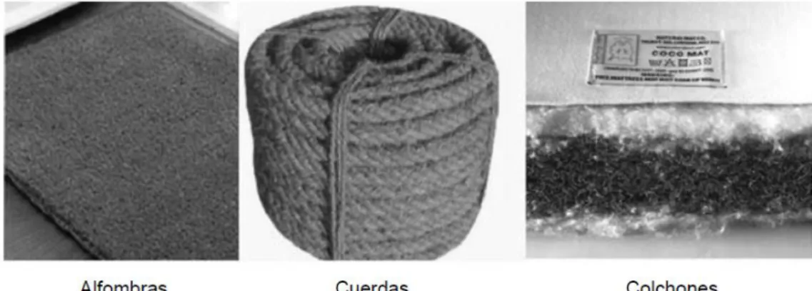Figura 2.13.- Aplicaciones tradicionales del coco [11]  Sus características se presentan en las Tablas 2.7 y 2.8 