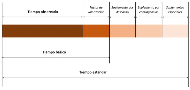 Figura 1 Grafica descriptiva de tiempo observado, básico y estándar