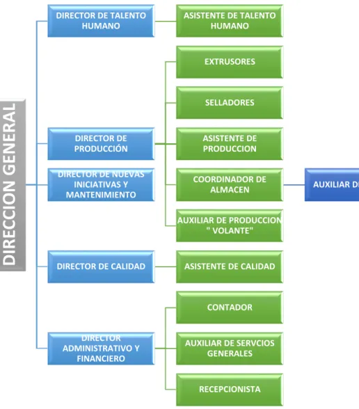 Ilustración 3 Estructura organizacional Eserplex 