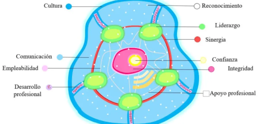 Figura 3. Modelo organizacional saludable tipo celular. Creación propia.  2.3  METODOLOGÍA DE TRÁNSITO AL CAMBIO 