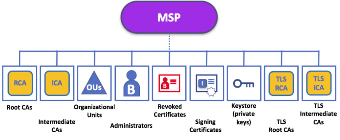 Figura 5.3: Esquema componentes MSP