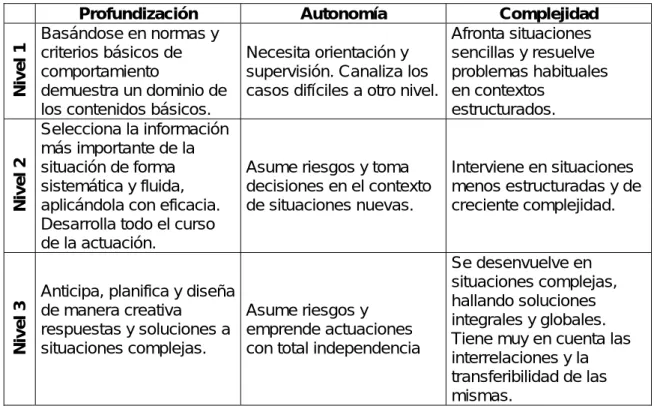 CUADRO 2: Dimensiones para establecer los tres niveles de dominio. 