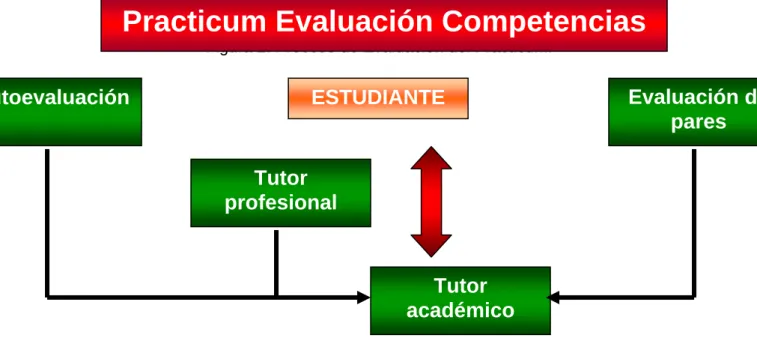 Figura 2: Proceso de Evaluación del Practicum. 