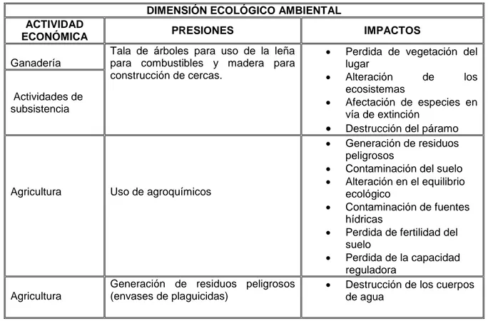 Tabla 3. Problemáticas ambientales presentes en la vereda San Antonio de Sumapaz 