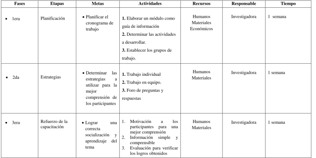 Cuadro N° 47  Plan de acción  