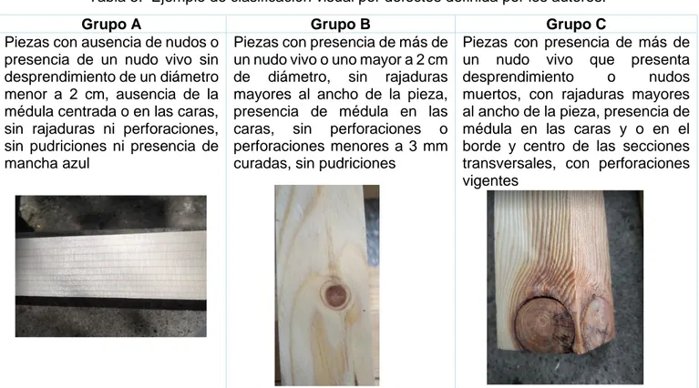 Tabla 5.  Ejemplo de clasificación visual por defectos definida por los autores. 