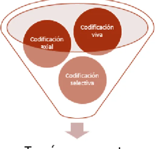 Figura 1. Proceso metodológico de análisis de la información.  