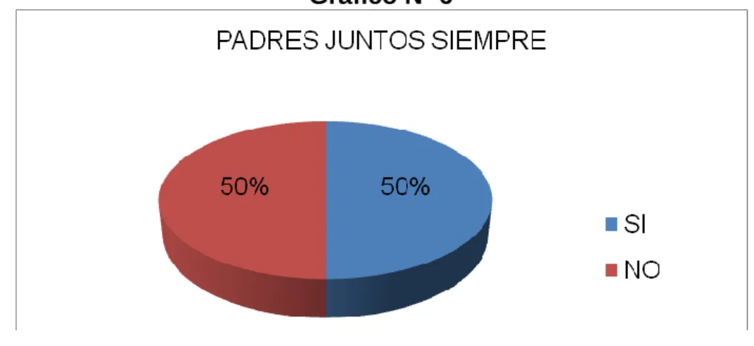 Gráfico Nº 6 