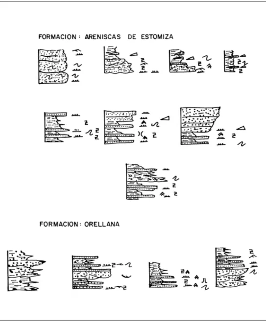 Figura 2.1. Facies y asociaciones de facies en las formaciones del Precámbrico.