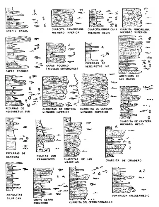 Figura 2.2. Facies y asociaciones de facies de las formaciones del Paleozoico.