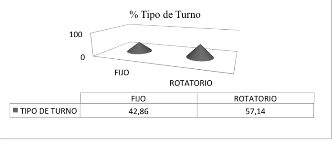 Gráfico 2.   Porcentaje del tipo de turno de la distribución (n=140) 