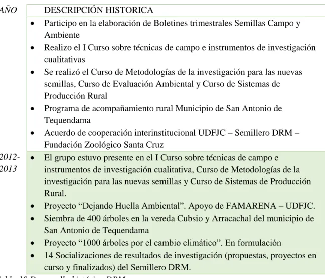 Tabla 10 Desarrollo histórico DRM 