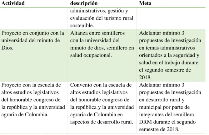 Tabla 12 plan de acción Semillero DRM. 