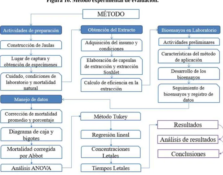 Figura 10. Método experimental de evaluación. 