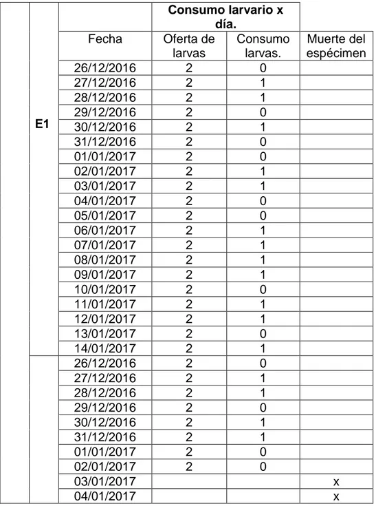 Tabla  2.  Registro  numérico  del  consumo  de  larvas  (20  días)  por  los  macroinvertebrados