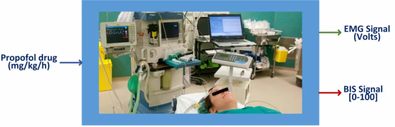 Figure 2. The anesthesia issue with a volunteer. Input and Output definition.