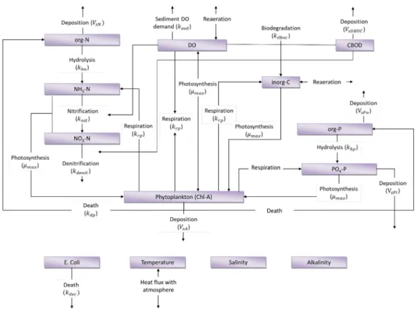 Figure 1 shows the different species and biochemical reactions considered in the extension of the IberWQ module presented in this paper