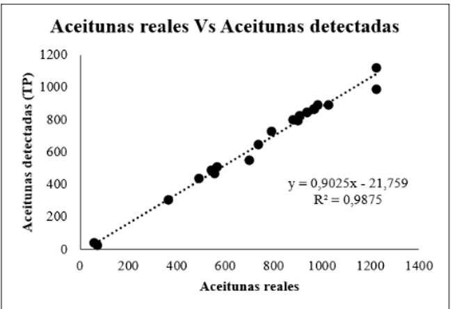 Figura 6: Resultado del estudio de correlación  realizado enfrentando el número de aceitunas  detectadas por el algoritmo con el número real