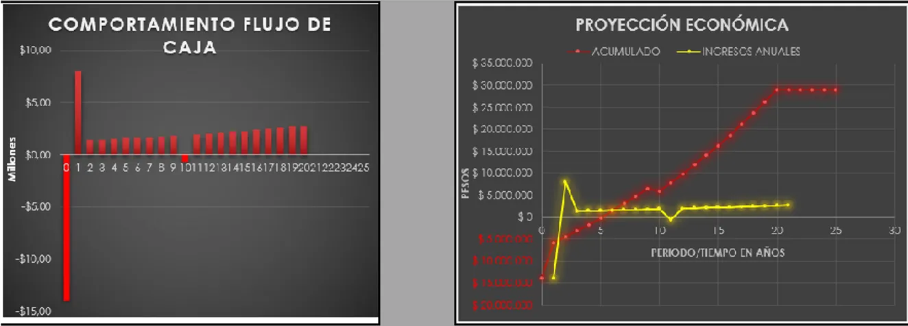 Fig. 26.Comportamiento de flujo de caja y Curva de proyección económica.  (Elaboración propia) 