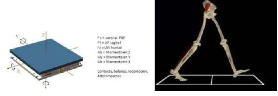 Figura 1.6. Ejemplo de plataforma dinamom´ etrica comercial (Tomado de [44]).