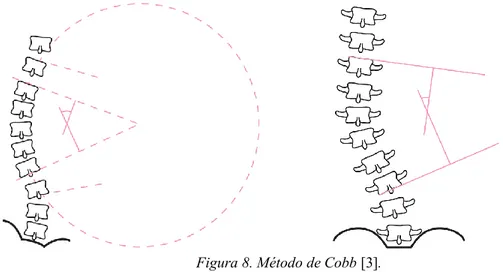Figura 8. Método de Cobb [3]. 