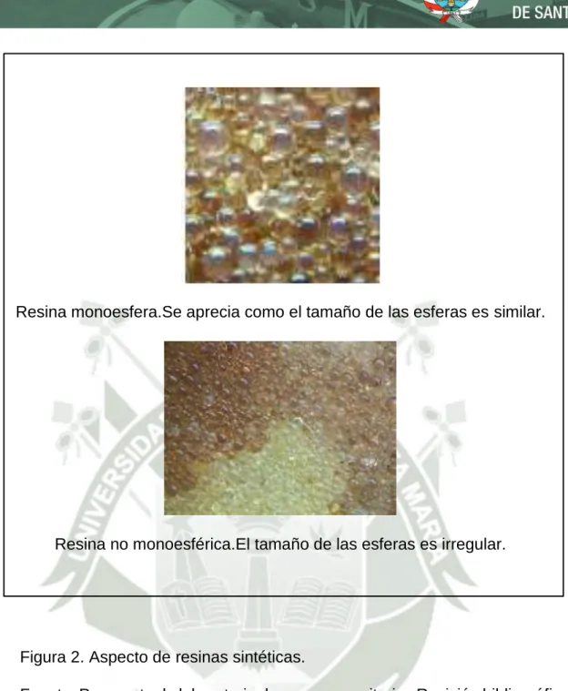 Figura 2. Aspecto de resinas sintéticas. 