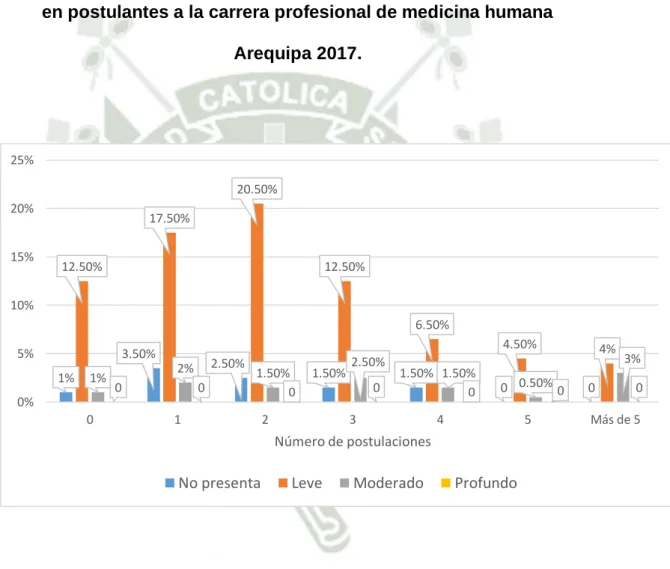 Gráfico 13 