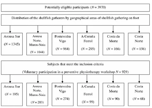 Fig. 1. Flow diagram for participant recruitment 