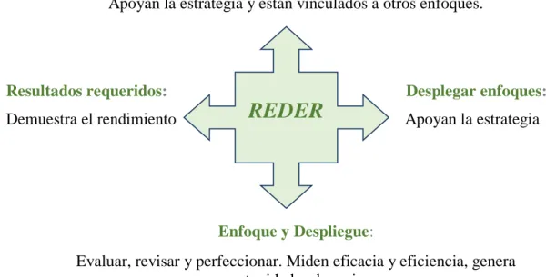 Figura 4. Esquema Lógico de REDER. 