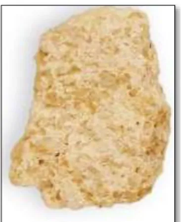 Figura 25. Roca Caliche 