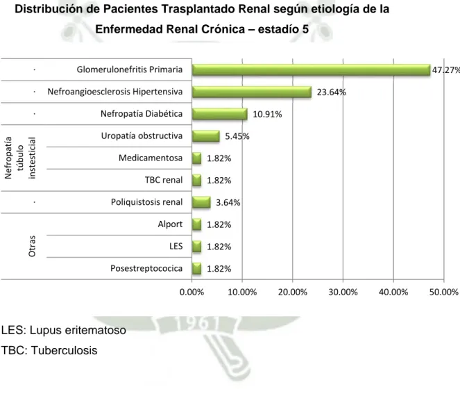 Gráfico 3 