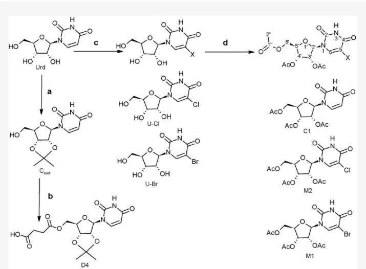 Figure 1. Reaction scheme and chemical structures of uridine derivatives.