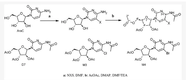 Figure 2. Reaction scheme and chemical structures of per-acetylated cytarabine.