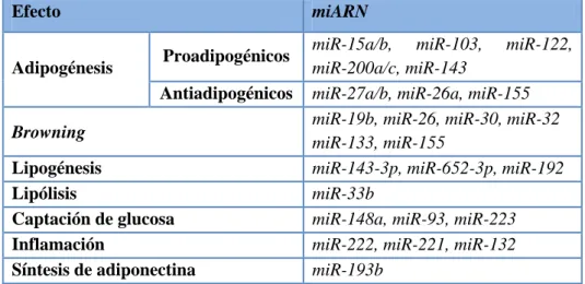Tabla 4. miARNs implicados en la fisiología de los adipocitos (51, 52, 55). 
