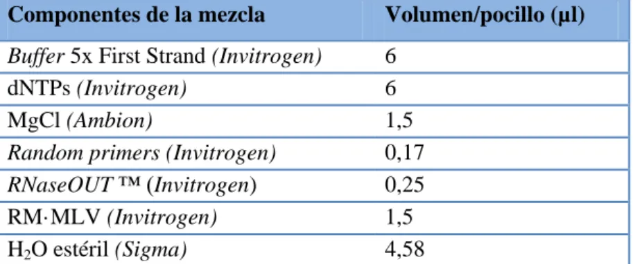 Tabla 5.  Componentes de la mezcla de retrotranscripción de ARNm. 