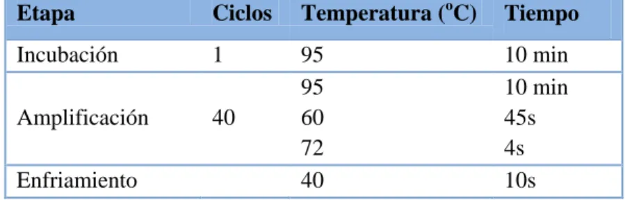 Tabla 10. Mezcla de qRT-PCR para análisis de miARNs. 