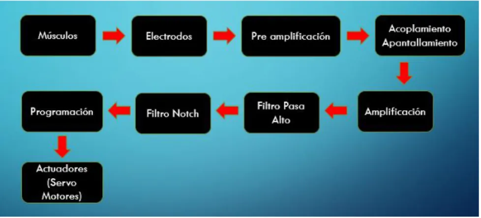 Figura 6. Diagrama de Bloques PPEA. 
