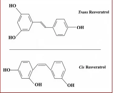 Figura  18.  Estructura  molecular  del  resveratrol.  En  la  naturaleza  el resveratrol  se  presenta  en dos  isoformas  distintas,  cis y trans
