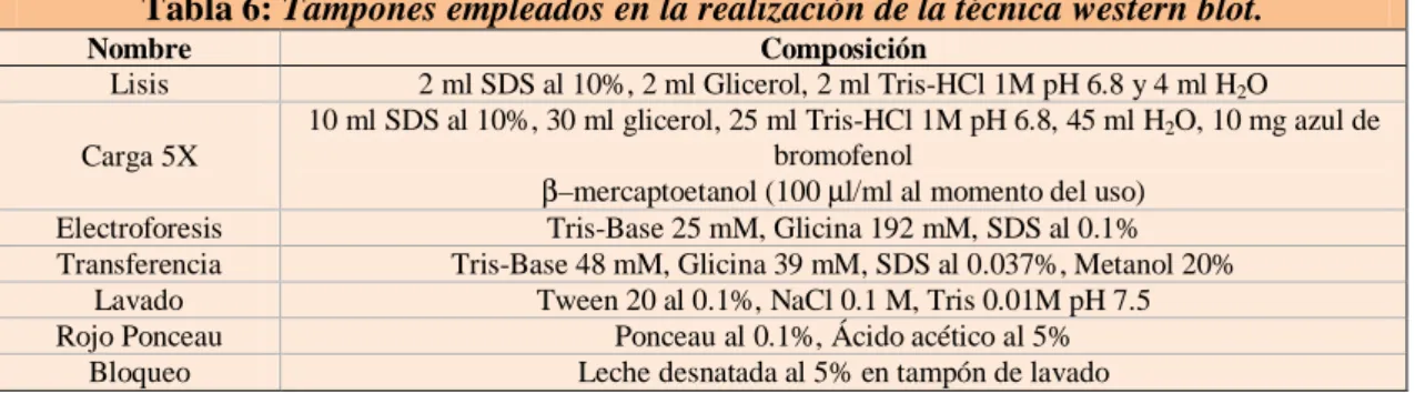 Tabla 6: Tampones empleados en la realización de la técnica western blot. 