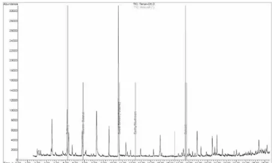 Figure 8. GC-MS-O analysis showing the additions of odour descriptors on the odour chromatogram.