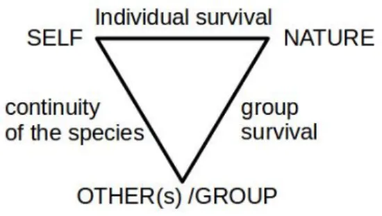 Figure 2. Primeval triangle of a species  