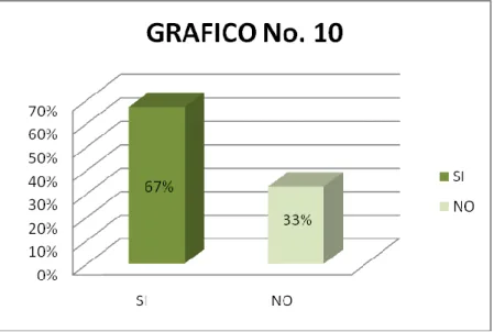 GRÁFICO Nº 10 