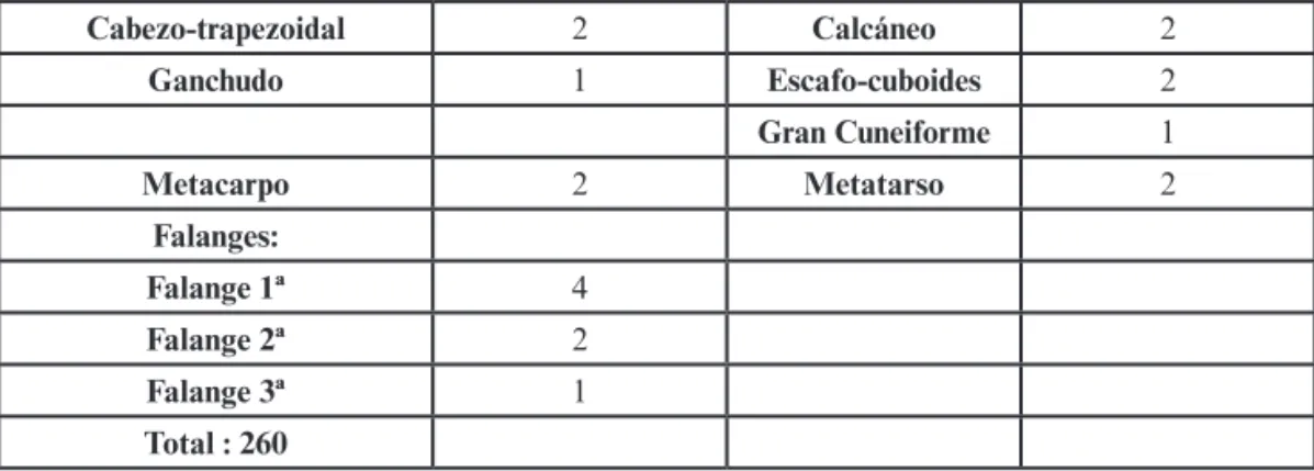 Tabla 1. Número de restos de Bos taurus encontrados en las zonas 1 y 2