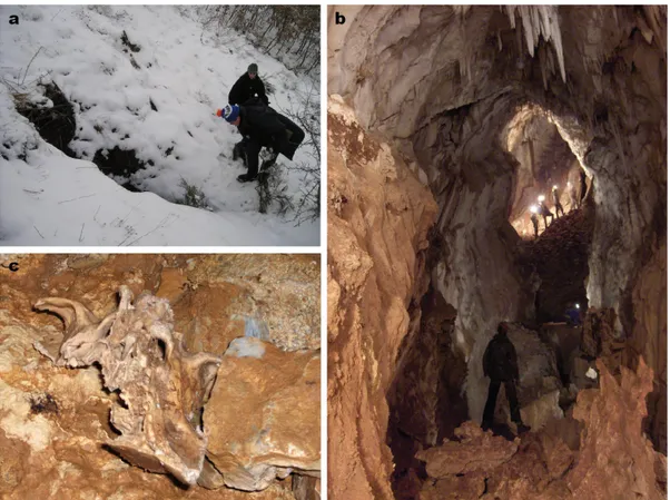Fig. 3. Vista del exterior de la entrada a la cueva durante el invierno (a) e interior de Cova da Tara (b),  mostrando la fuerte pendiente con rocas procedentes de desprendimientos y la forma de acumulación de ese  material