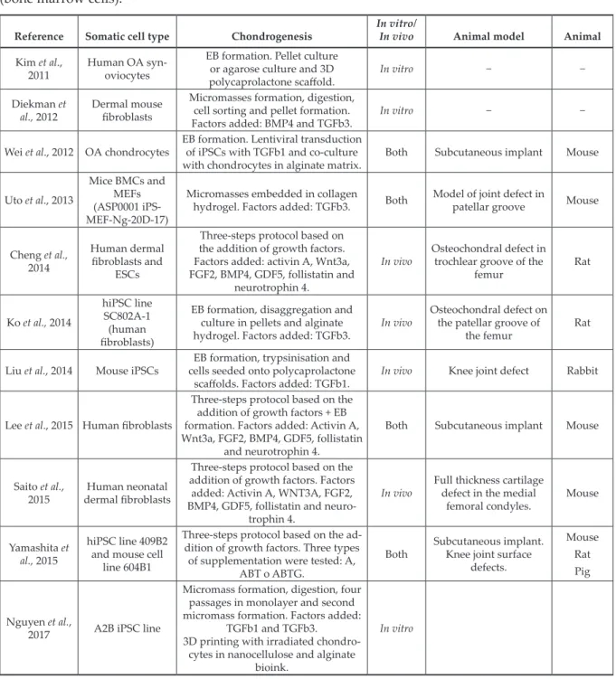 Table 2. Summary of in vitro and in vivo protocols for cartilage regenerative medicine and tissue  engineering by using iPSCs
