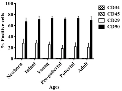 Figure 4.1. Characterization by flow cytometry. Percentage of cells positives for MSCs markers (CD29  and CD90) and for hematopoietic markers (CD34 and CD45)